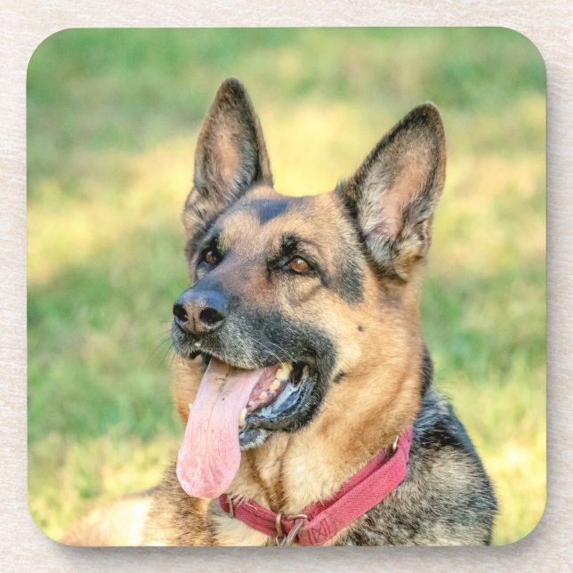 German Shepard Coaster (Front)