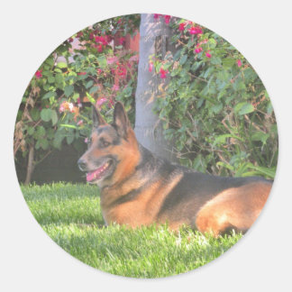 German Shepard Gifts Classic Round Sticker