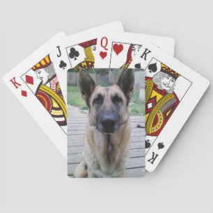 German Shepard Playing Cards