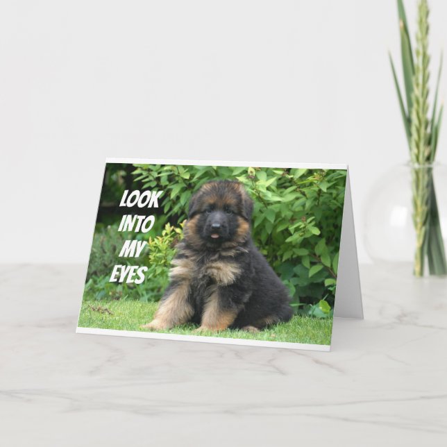 GERMAN SHEPARD SAYS "HAPPY 40th" Card (Front)