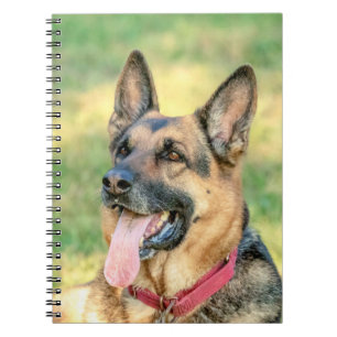German Shepard Spiral Notebook