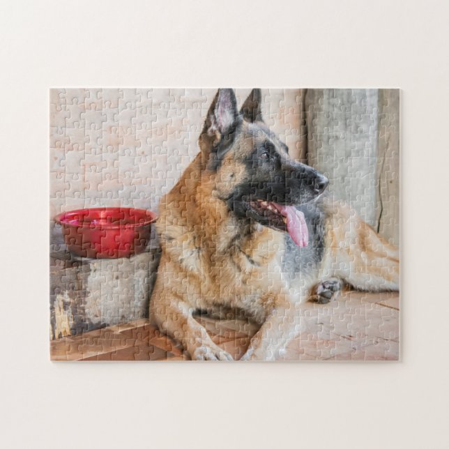 German Sheperd Resting By Water Basin Jigsaw Puzzle (Horizontal)