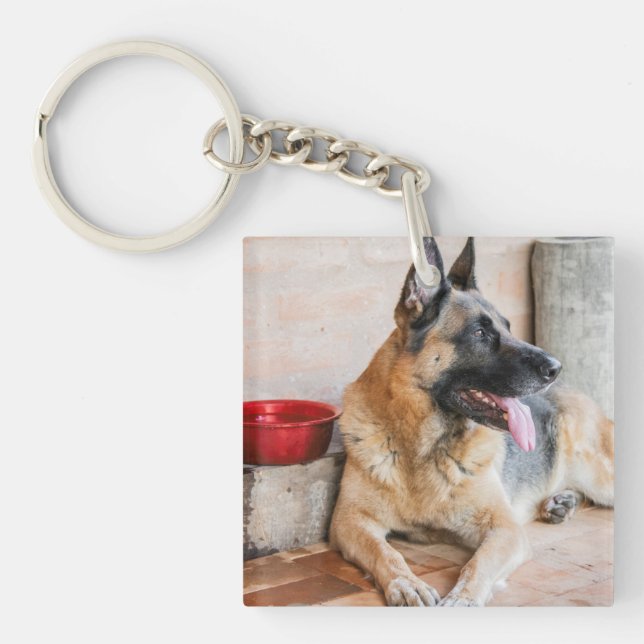 German Sheperd Resting By Water Basin Key Ring (Front)