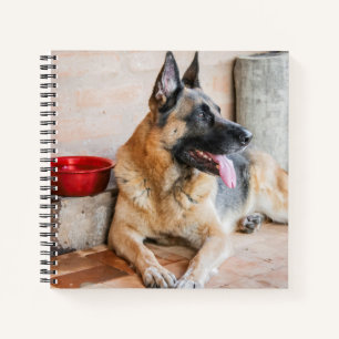German Sheperd Resting By Water Basin Notebook