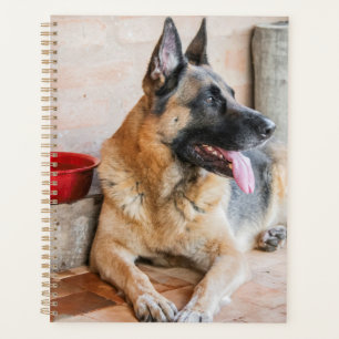 German Sheperd Resting By Water Basin Planner