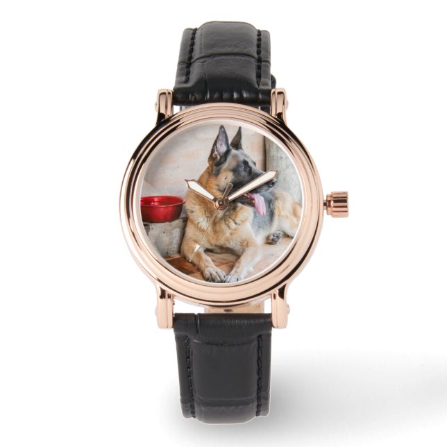 German Sheperd Resting By Water Basin Watch (Front)