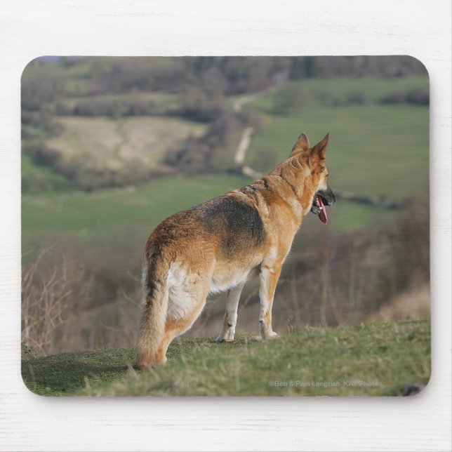 German Shephard Looking Down Hill Mouse Pad (Front)
