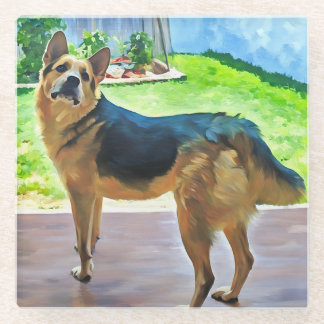 German Shepheard In The Garden Coaster