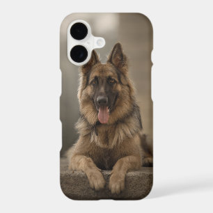 german shepherd.