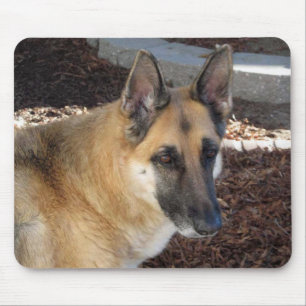 German Shepherd Abby Mouse Pad
