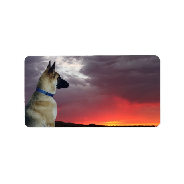 German Shepherd Address Labels (Front)
