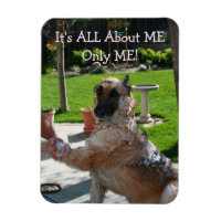 German Shepherd All About Me Magnet