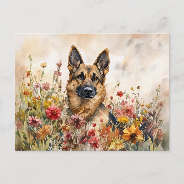 German Shepherd Among Vibrant Wildflowers Postcard (Front)