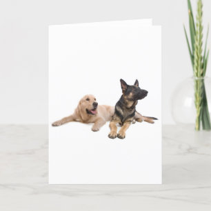 german shepherd and golden retriever card
