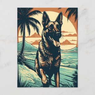 German Shepherd at a tropical beach during sunset Postcard