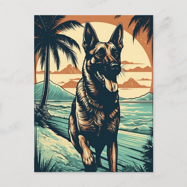 German Shepherd at a tropical beach during sunset Postcard (Front)