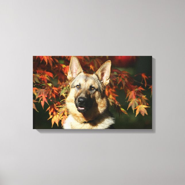 German Shepherd Autumn Leaves Canvas Print (Front)