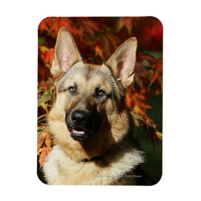 German Shepherd Autumn Leaves Magnet (Vertical)