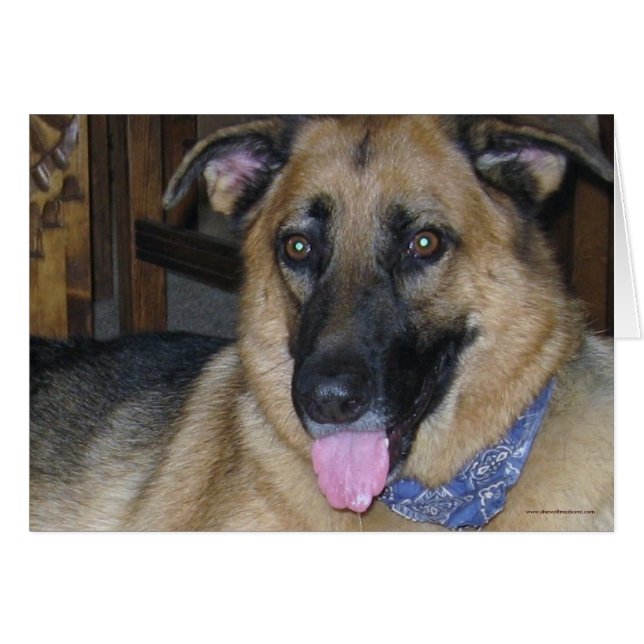 German Shepherd Bandanna - Ranch Dog Lover Blank (Front Horizontal)