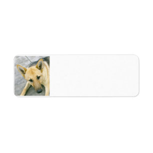 german-shepherd-black and cream