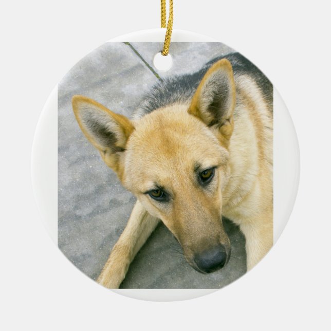 german-shepherd-black and cream ceramic tree decoration (Front)