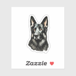 German Shepherd Black and Tan