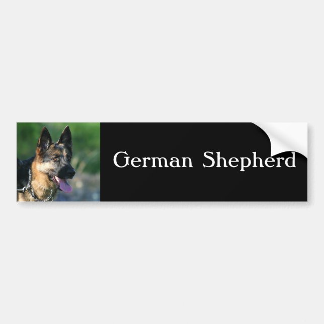 German Shepherd bumper sticker (Front)