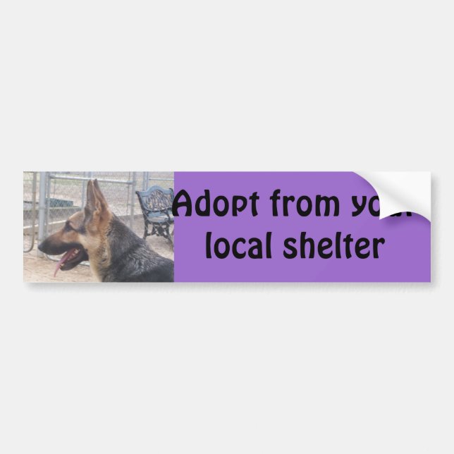 German Shepherd Bumper Sticker (Front)