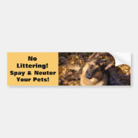 German Shepherd Bumper Sticker