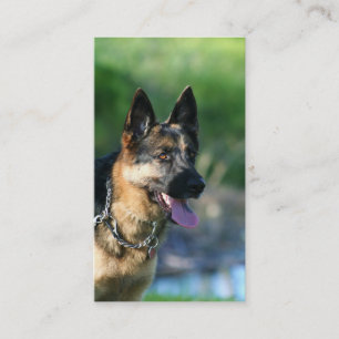 German Shepherd business cards