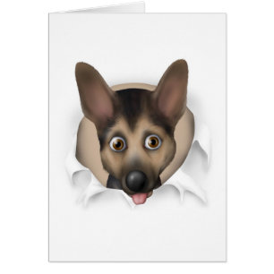 German Shepherd Busting Out
