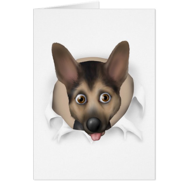German Shepherd Busting Out (Front)