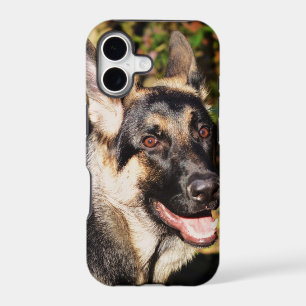German Shepherd by Shirley Taylor