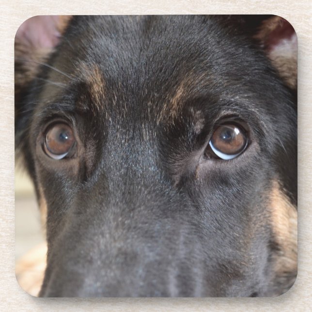 German Shepherd by Shirley Taylor Coaster (Front)