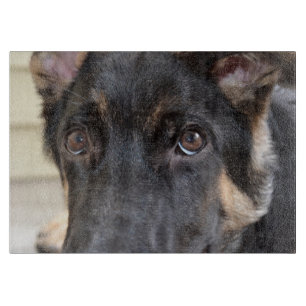 German Shepherd by Shirley Taylor Cutting Board