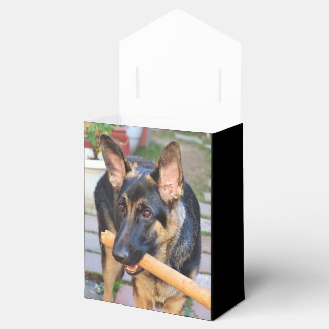 German Shepherd by Shirley Taylor Favour Box (Opened)