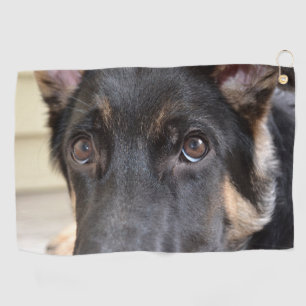 German Shepherd by Shirley Taylor Golf Towel
