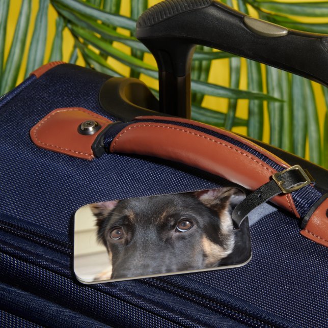 German Shepherd by Shirley Taylor Luggage Tag (Front Insitu 3)
