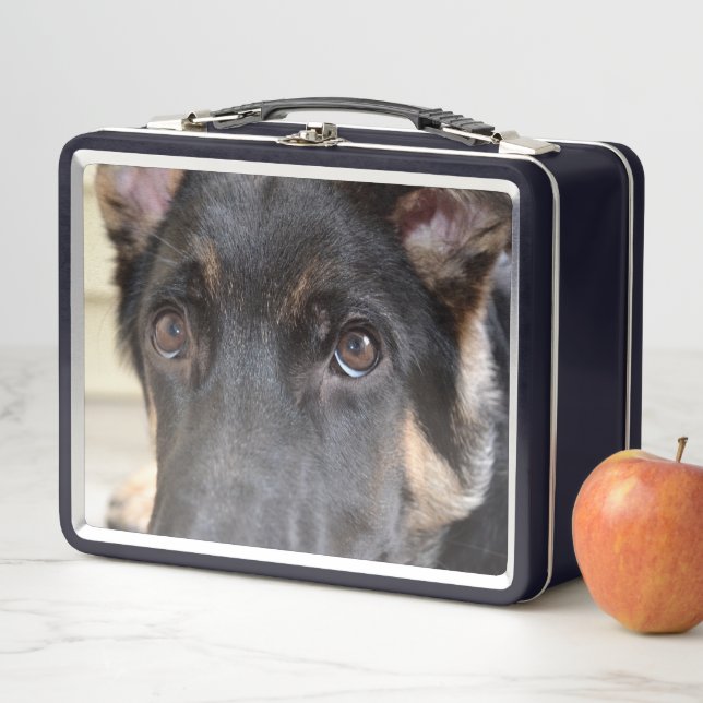 German Shepherd by Shirley Taylor Metal Lunch Box (In Situ)