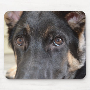 German Shepherd by Shirley Taylor Mouse Pad