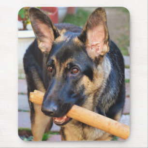 German Shepherd by Shirley Taylor Mouse Pad