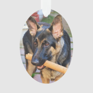 German Shepherd by Shirley Taylor Ornament