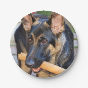 German Shepherd by Shirley Taylor Paper Plate