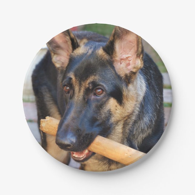 German Shepherd by Shirley Taylor Paper Plate (Front)