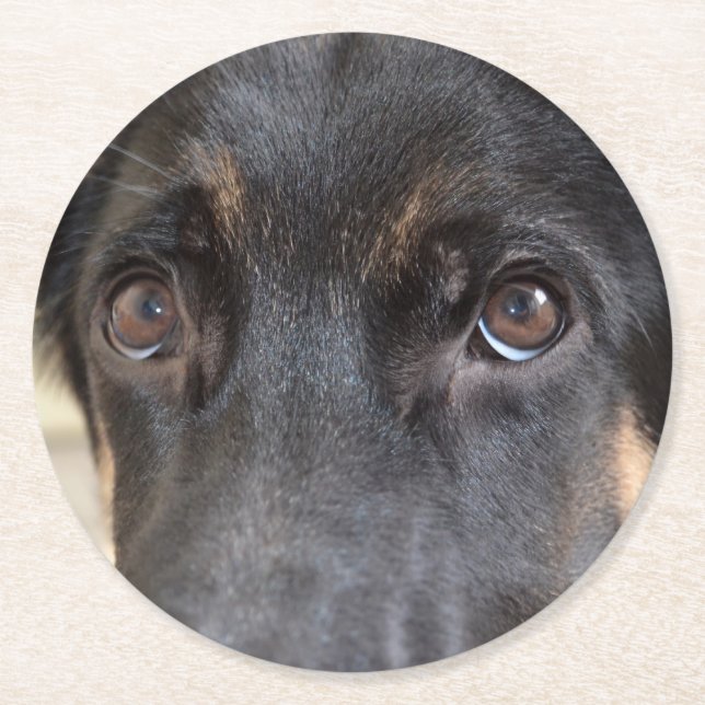 German Shepherd by Shirley Taylor Round Paper Coaster (Front)