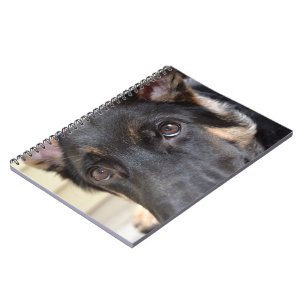 German Shepherd by Shirley Taylor Spiral Notebook