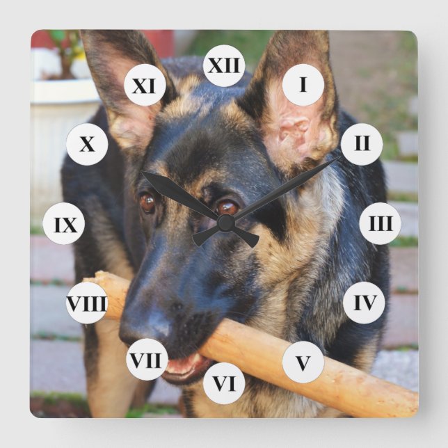 German Shepherd by Shirley Taylor Square Wall Clock (Front)