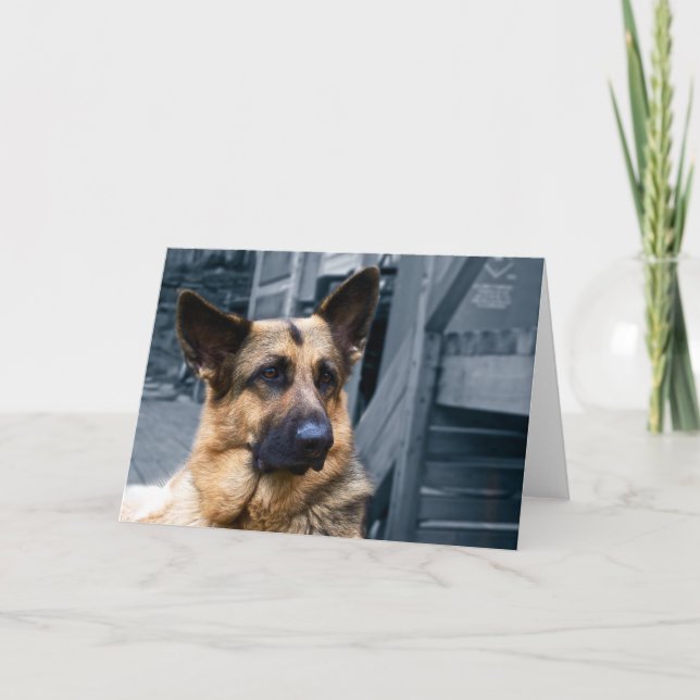 German Shepherd Card (Front)