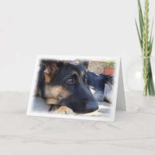 German Shepherd Card