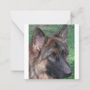 german shepherd card